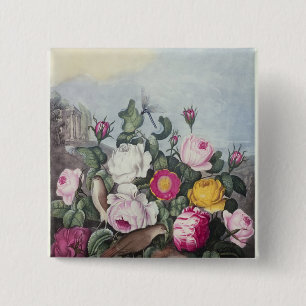 Roses, from 'The Temple of Flora' 15 Cm Square Badge