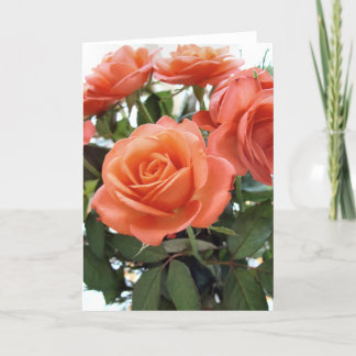 Roses Greeting Card