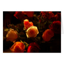 Roses I - Orange, Crimson and Gold Glory