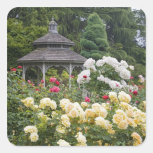 Roses in bloom and Gazebo Rose Garden at the Square Sticker