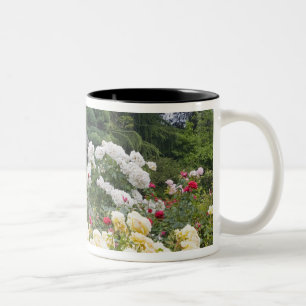 Roses in bloom and Gazebo Rose Garden at the Two-Tone Coffee Mug