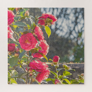 Roses  jigsaw puzzle