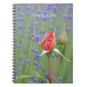 Roses Lavender Floral (my photography) Notebook