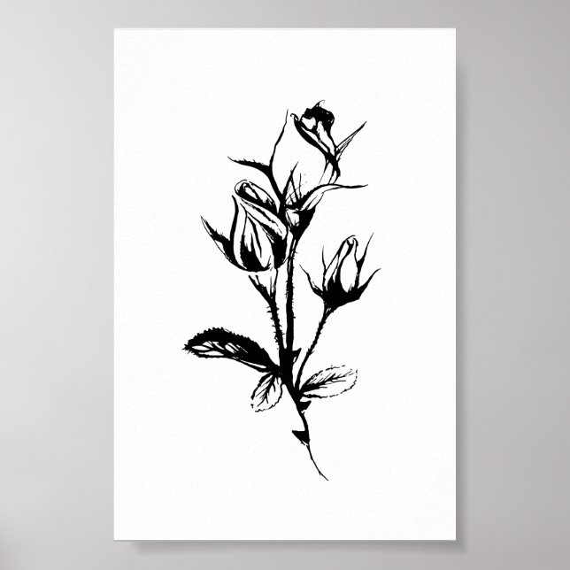 Roses Line Drawing Art | Ink Sketch of Rosebuds Poster (Front)
