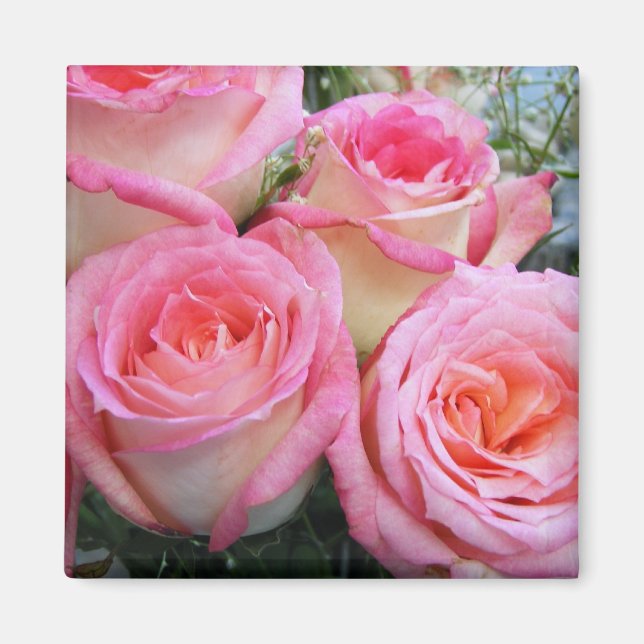 Roses Magnet (Front)