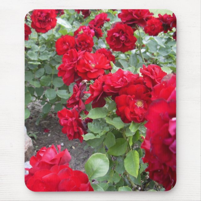Roses mousepad (Front)