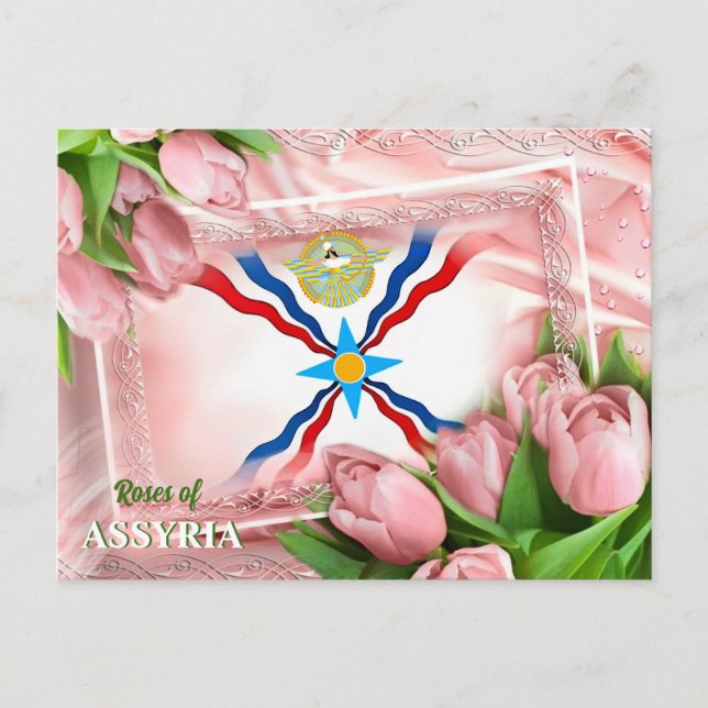 Roses of ASSYRIA Postcard (Front)
