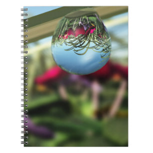 Roses on Raindrops Notebook