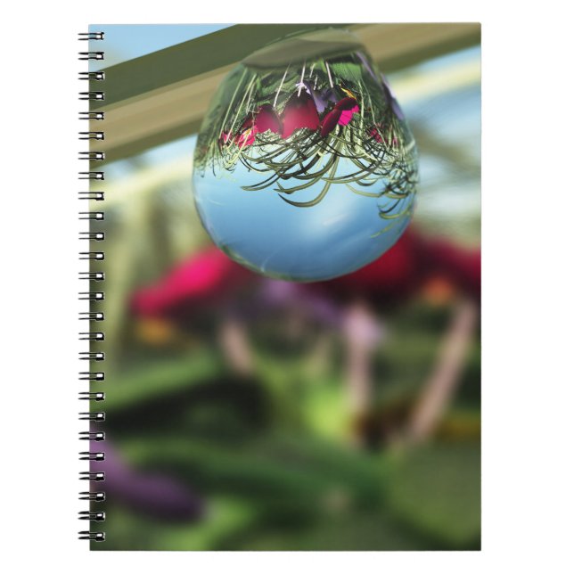 Roses on Raindrops Notebook (Front)