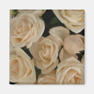 Roses On the Fridge Magnet