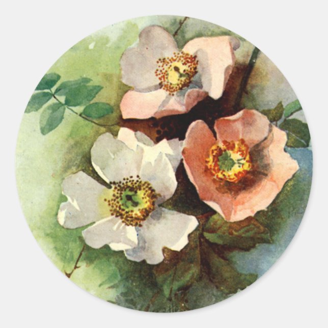 Roses on the Vine - Sticker (Front)