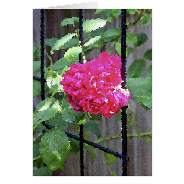 Roses on Trellis (Front)