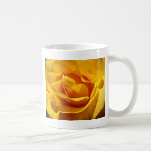 ROSES Orange Rose Flowers 1 Cards Gifts Mugs