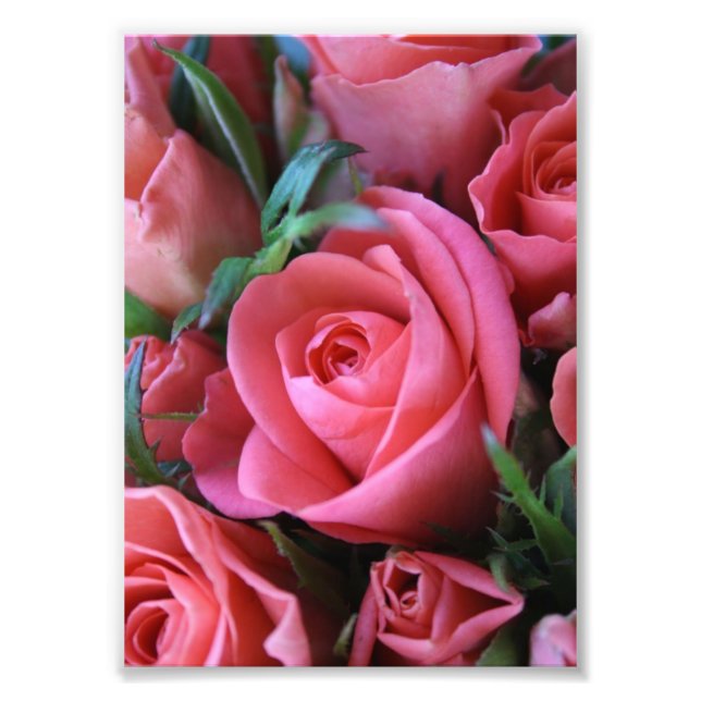 Roses Photo Print (Front)