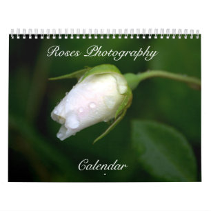 Roses Photography Flower Calendar