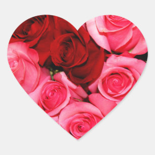Roses, Pink and Red Heart Sticker