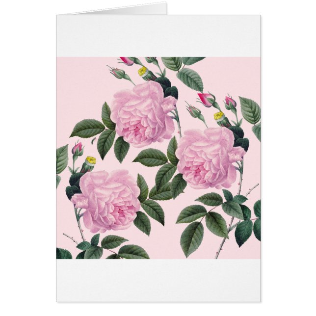 Roses Pink Vintage Dream (Front)