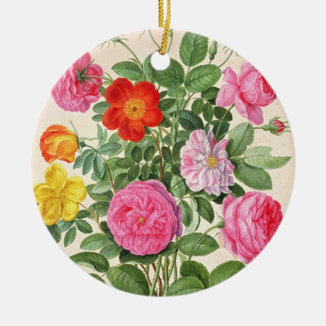 Roses, plate 4 from the Nassau Florilegium (w/c on Ceramic Ornament (Front)