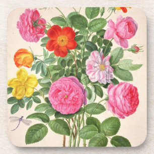 Roses, plate 4 from the Nassau Florilegium (w/c on Coaster