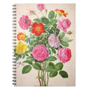 Roses, plate 4 from the Nassau Florilegium (w/c on Notebook