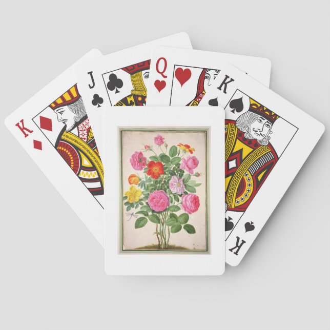 Roses, plate 4 from the Nassau Florilegium (w/c on Playing Cards (Back)