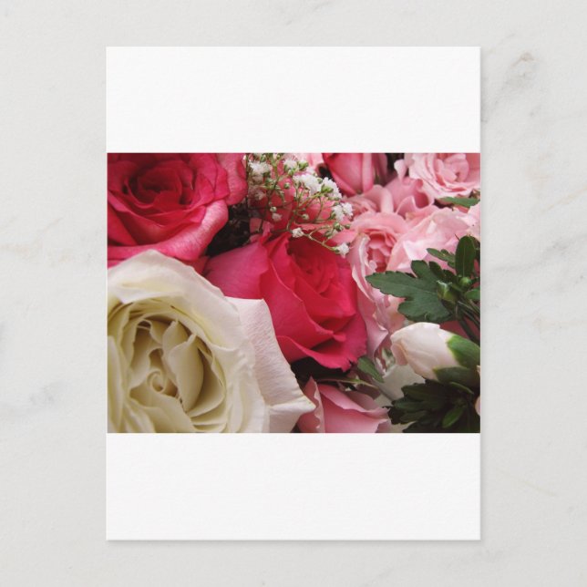 Roses Postcard (Front)