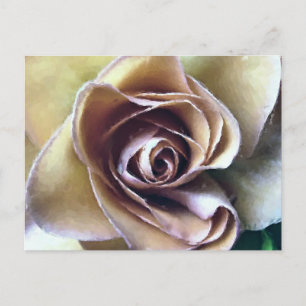 ROSES POSTCARD