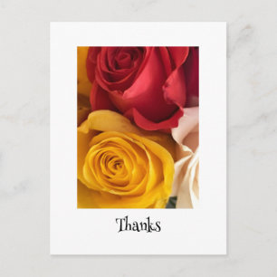 Roses Postcard