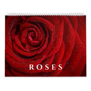 Roses Pretty Colourful Flowers Photographs 2025  Calendar