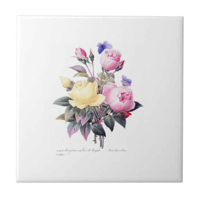 Roses Redoute Belle Fleurs White Ceramic Tile (Front)