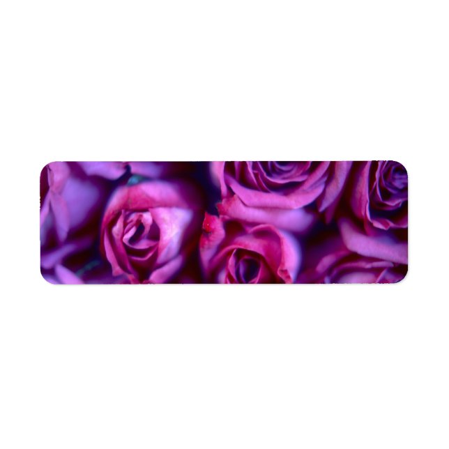 Roses Return Address Label (Front)