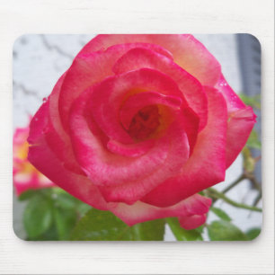 Roses roses roses mouse pad