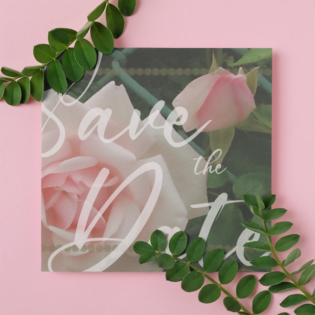 Roses Save the Date Announcement Template (Creator Uploaded)