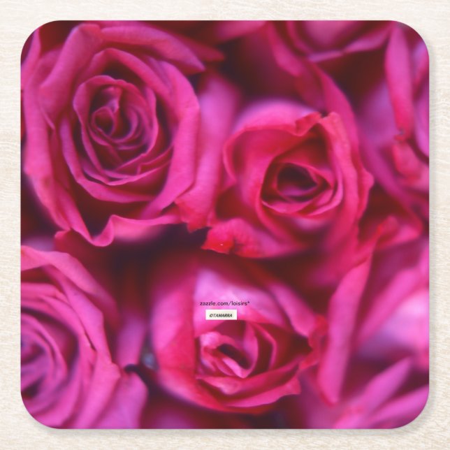 Roses Square Paper Coaster (Front)