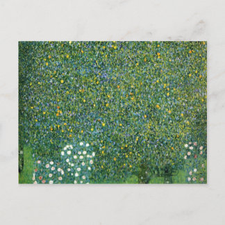 Roses under the Trees Cute Postcard