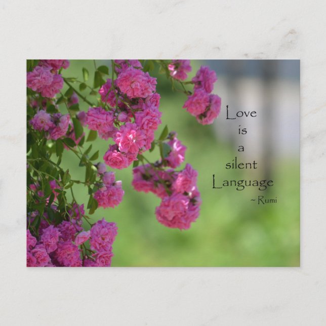 Roses with Love Quote Postcard (Front)