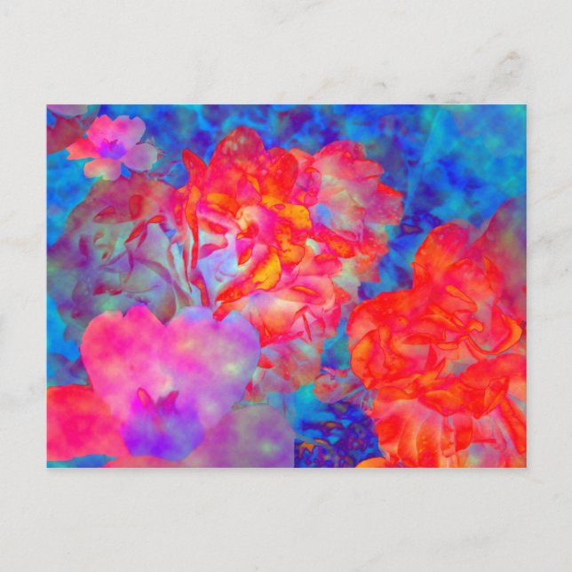 Roses with special effects post card (Front)