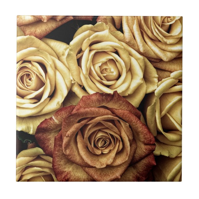 Roses yellow and red ceramic tile (Front)