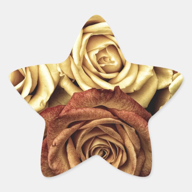 Roses yellow and red star sticker (Front)