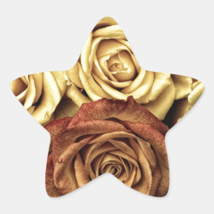 Roses yellow and red star sticker