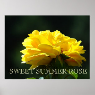 ROSES YELLOW Rose Flowers 2 Art Prints Posters Art