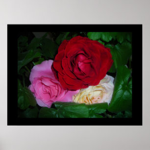 RoseTrio on Black poster-Customize/Personalize Poster