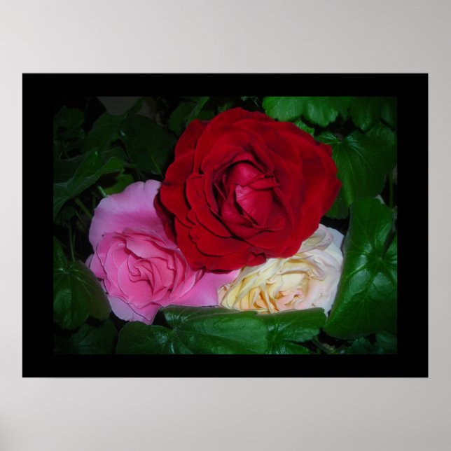 RoseTrio on Black poster-Customize/Personalize Poster (Front)