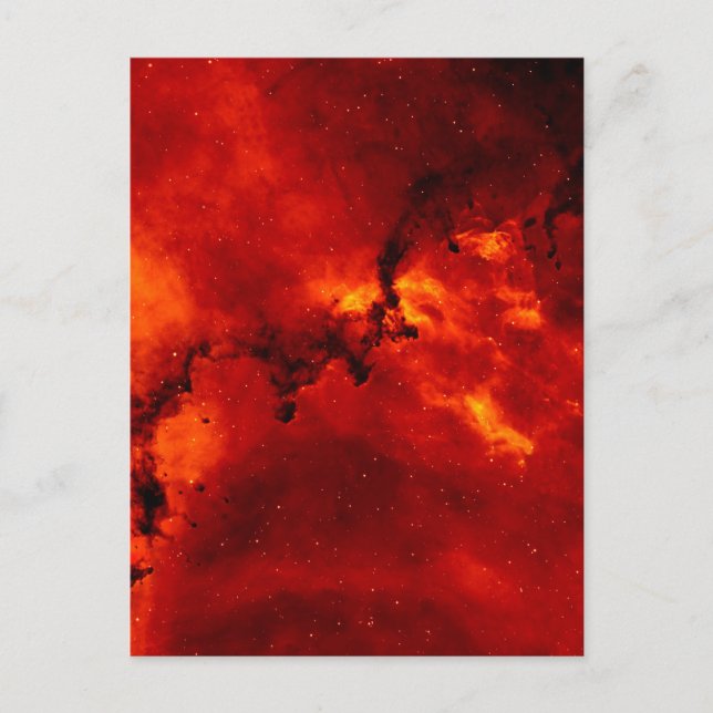 Rosette Nebula Photo Postcard (Front)