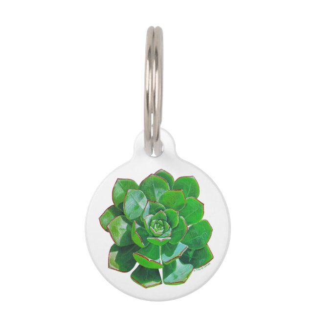 Rosette Succulent Pet Tag (Front)