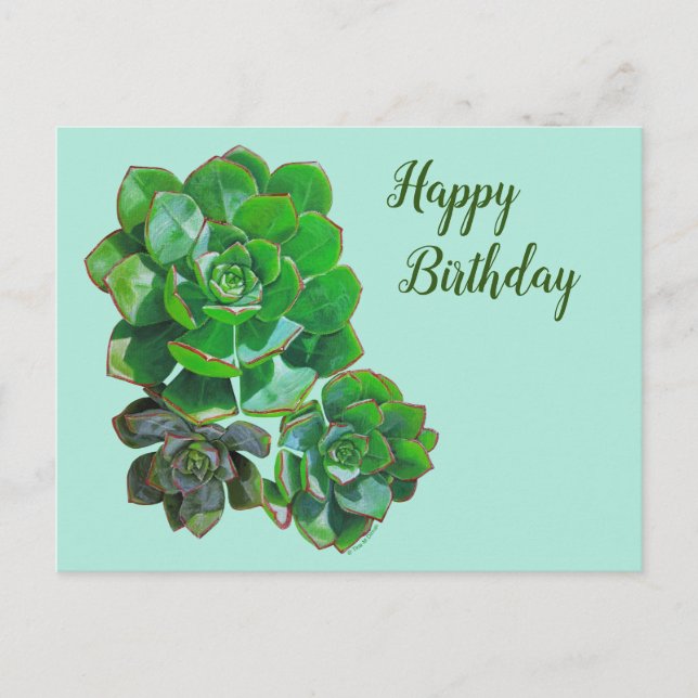 Rosette Succulents Post Card (Front)