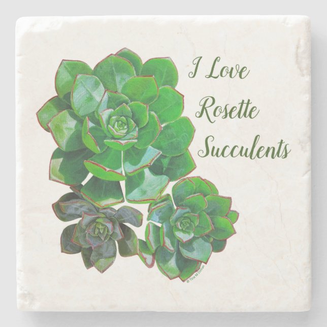 Rosette Succulents Stone Coaster (Front)
