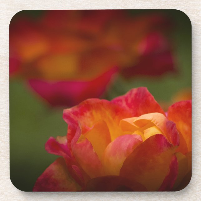 Rosey Cork Coaster (Front)