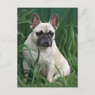 Rosey in the grass postcard