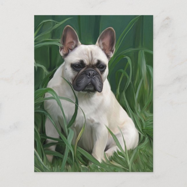 Rosey in the grass postcard (Front)